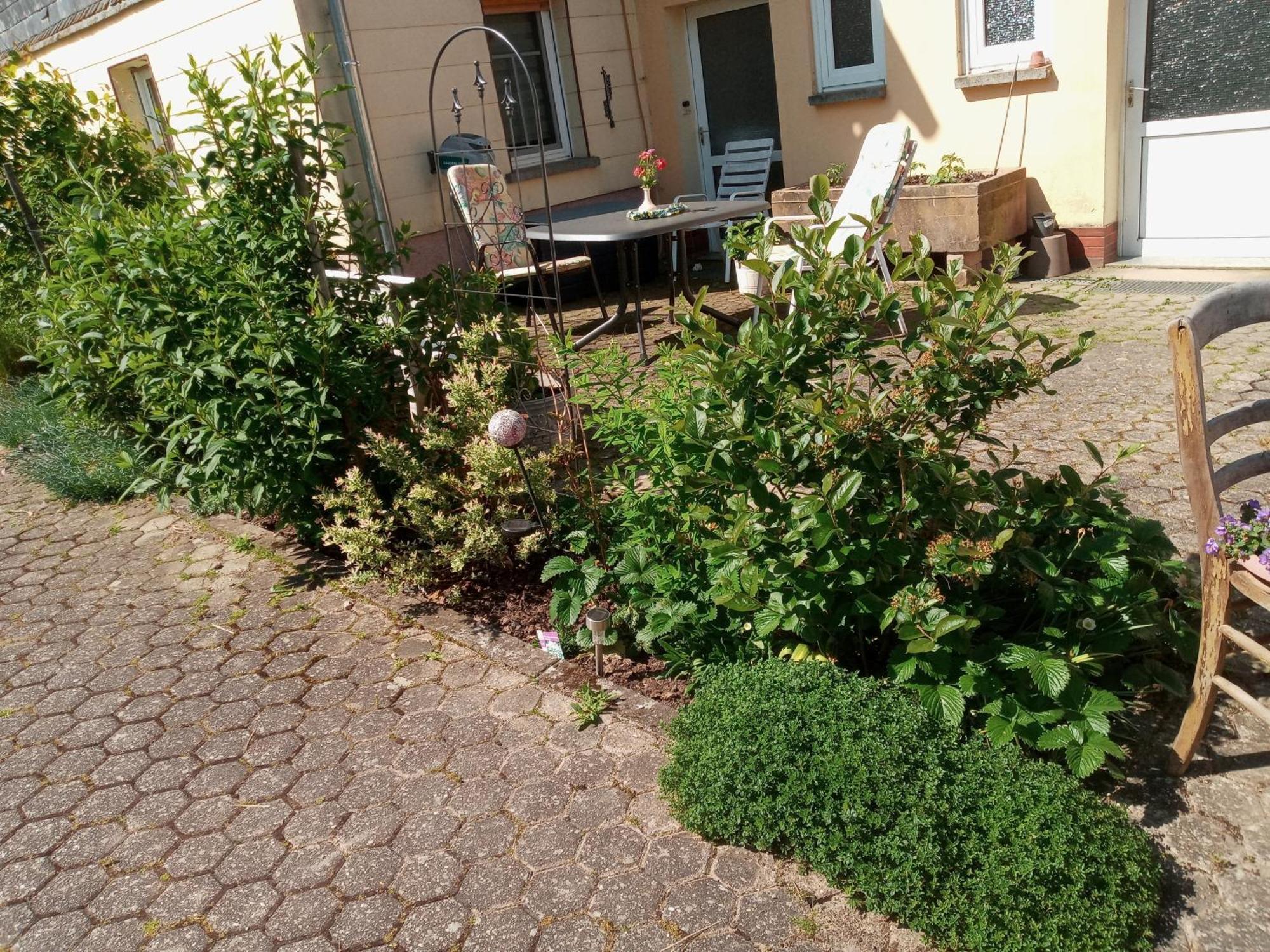 Ferienwohnung Otto Kleinich ภายนอก รูปภาพ